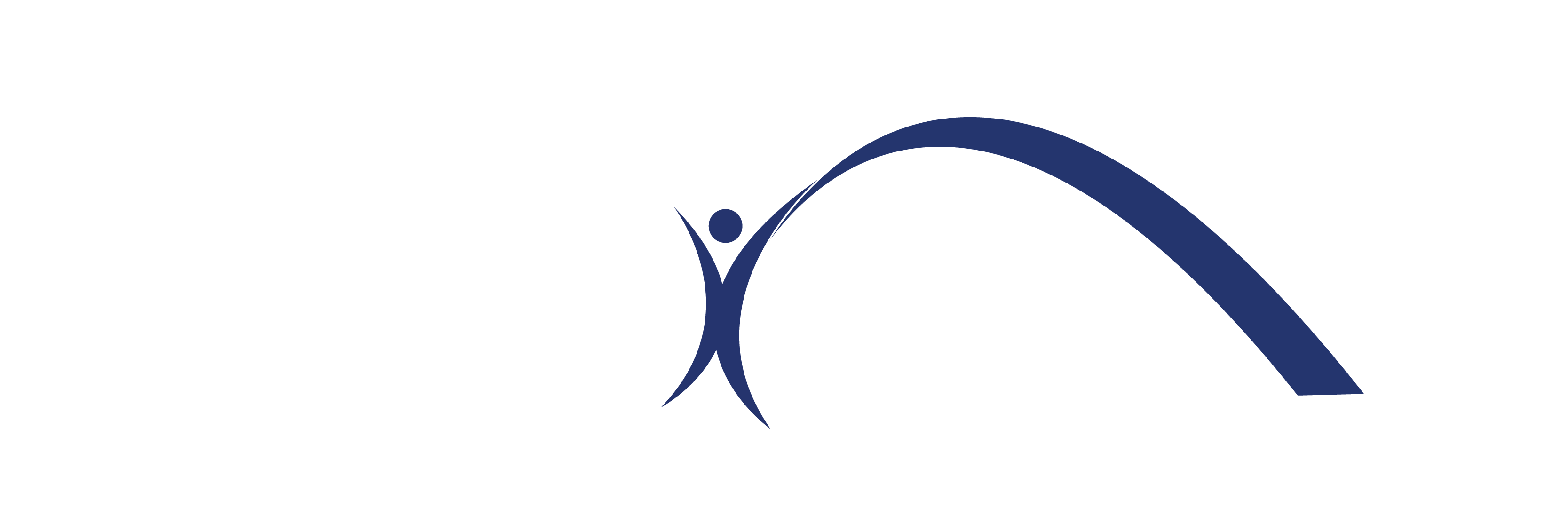 Probridge_logo_White_Blue